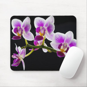 Mousepad Orquídea branca e roxa
