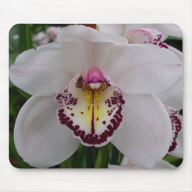 Mousepad Orquídea Branca II Elegante (Frente)