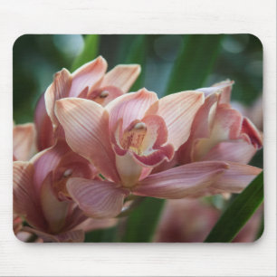 Mousepad Orquídea de leite