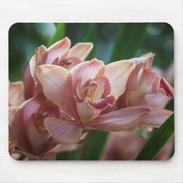 Mousepad Orquídea de leite (Frente)