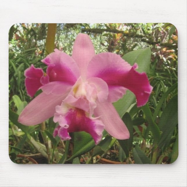 Mousepad Orquídea de Rican da costela (Frente)