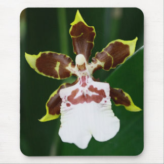 Mousepad Orquídea de Zygopetalum