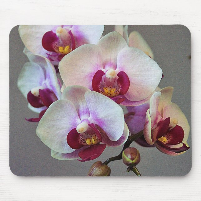 Mousepad Orquídea diminuta (Frente)