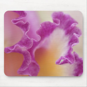 Mousepad Orquídea híbrida close-up, Delray Beach, Flórida
