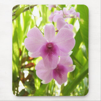 Mousepad Orquídea - mundo do nossos próprios