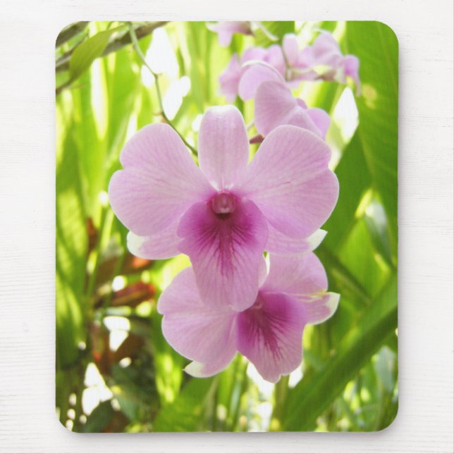 Mousepad Orquídea - mundo do nossos próprios (Frente)