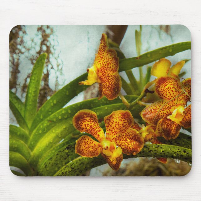 Mousepad Orquídea - Oncidium - Madura (Frente)