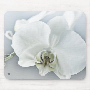 Mousepad Orquídea Phalaenopsis Branca