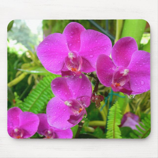 Mousepad Orquídea roxa (Frente)
