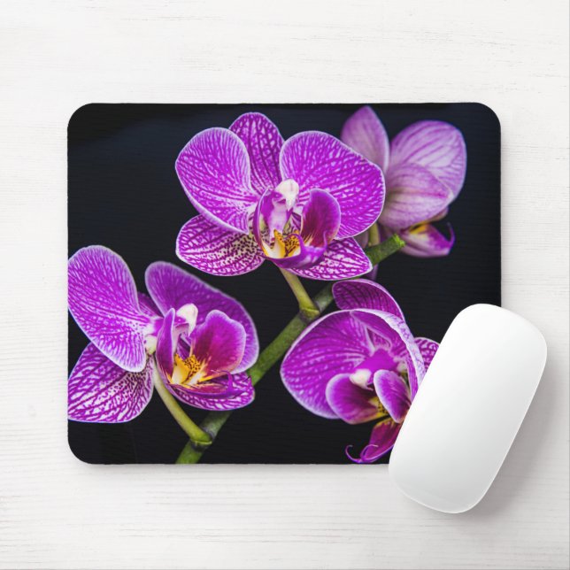 Mousepad Orquídea roxa (Com mouse)