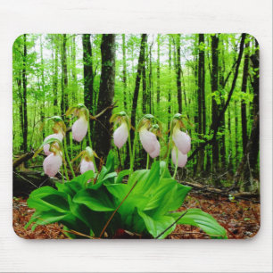 Mousepad Orquídea silvestre de Lady Slipper Rosa