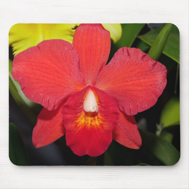 Mousepad Orquídea Vermelha Exótica (Frente)