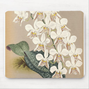 Mousepad Orquídeas