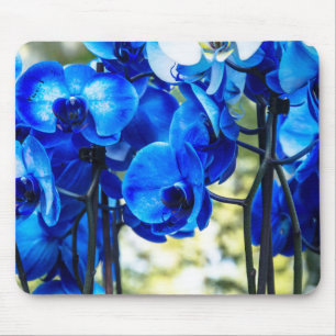 Mousepad Orquídeas azuis
