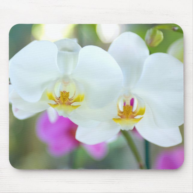 Mousepad Orquídeas brancas (Frente)