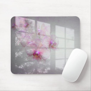 Mousepad Orquídeas Brilham na Sombra das Janelas