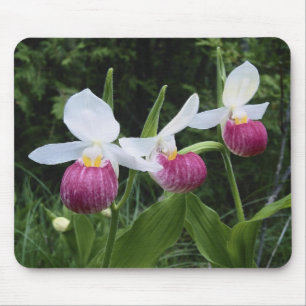 Mousepad Orquídeas da Mousepad-Senhora deslizador