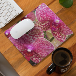 Mousepad Orquídeas da Phalaenopse Espetada, Rosa, Floral