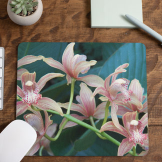 Mousepad Orquídeas de Cymbidium Rosa Floral