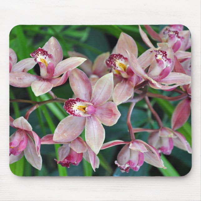 Mousepad Orquídeas de mariposa rosa (Frente)