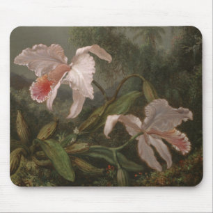 Mousepad Orquídeas e colibris da selva