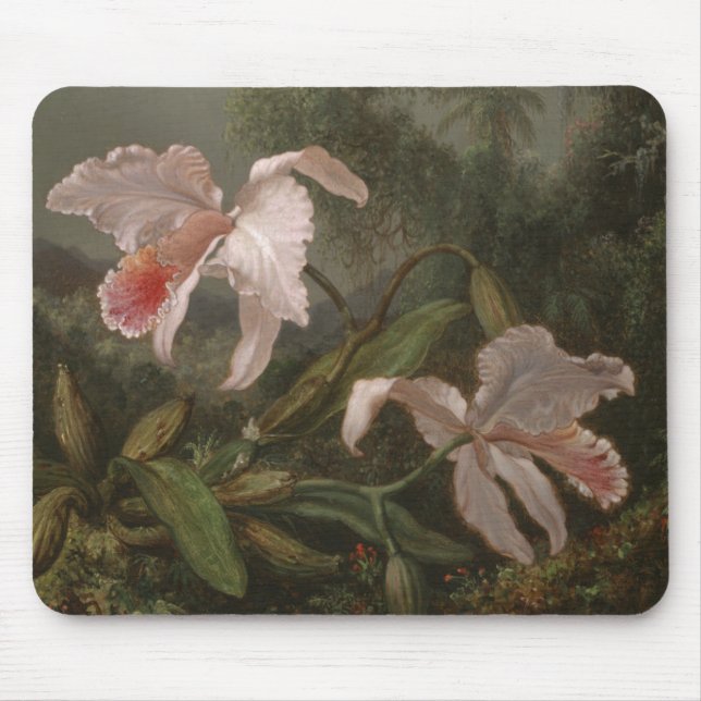 Mousepad Orquídeas e colibris da selva (Frente)