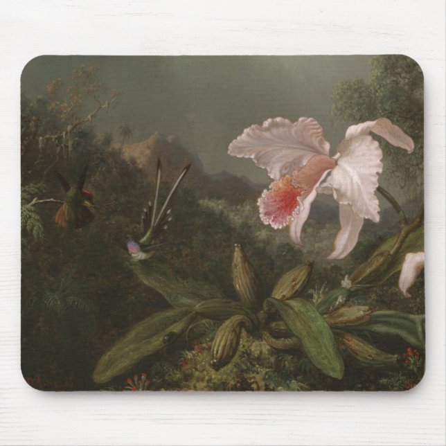 Mousepad Orquídeas e colibris da selva (Frente)