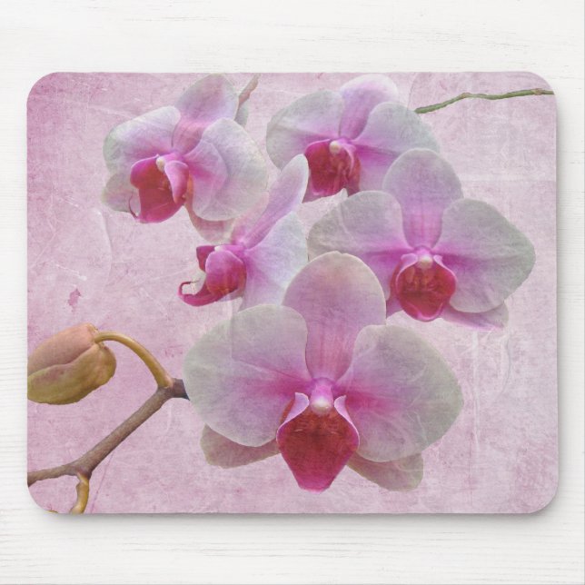 Mousepad Orquídeas-Mama rosa - Phalaenopsis (Frente)