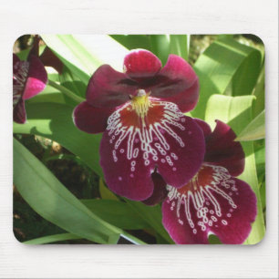 Mousepad Orquídeas Maroon II Floral Elegante