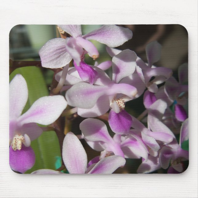 Mousepad orquídeas miniatura (Frente)