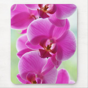 Mousepad Orquídeas Rosa Lindas