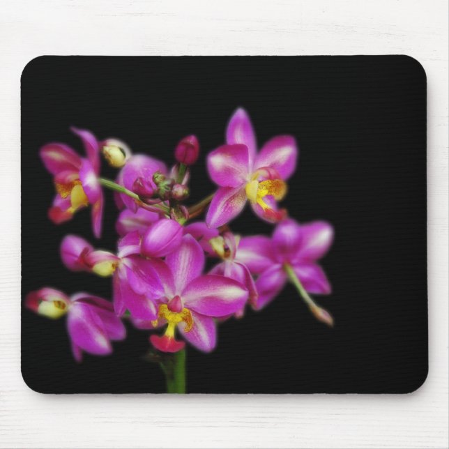 Mousepad Orquídeas roxas no fundo preto (Frente)