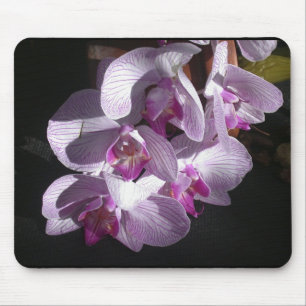 Mousepad Orquídeas Sunlit