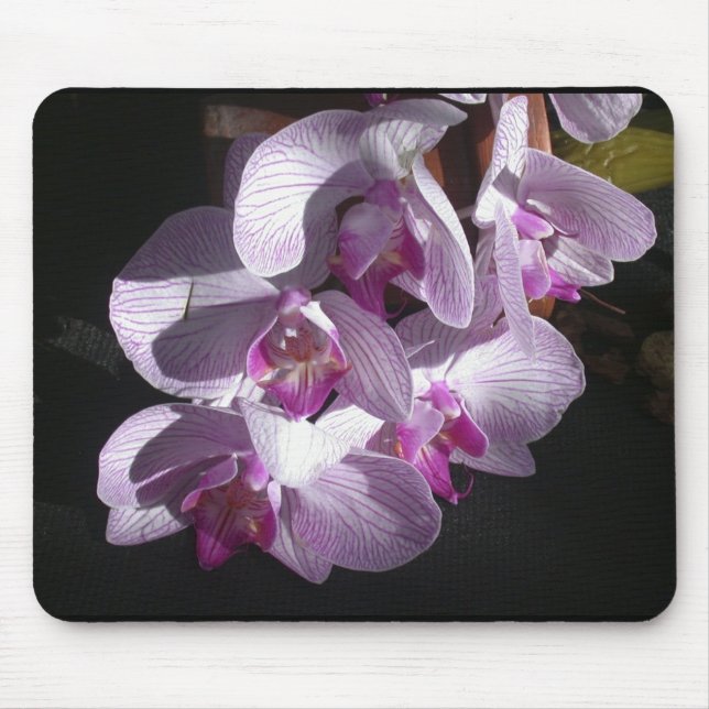 Mousepad Orquídeas Sunlit (Frente)