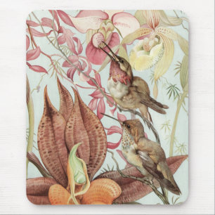 Mousepad Orquídeas Tropicais Antigas, Flores e Beija-flores