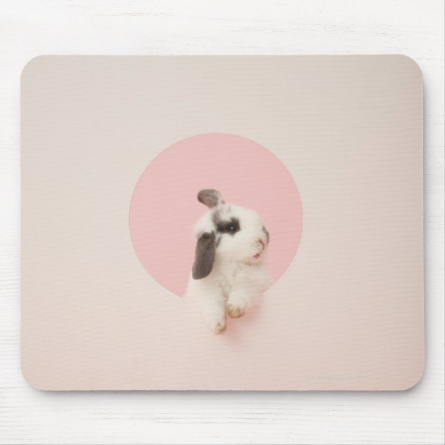Mousepad Oryctolagus cuniculo (Frente)