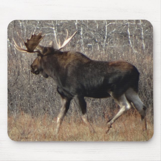 Mousepad Os alces de M8 Bull esfregam dentro a escova (Frente)