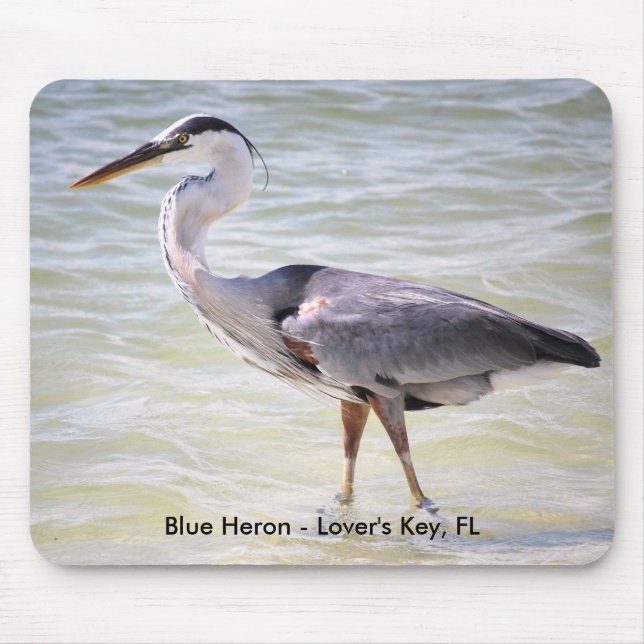 Mousepad os amantes azuis da garça-real fecham FL, (Frente)