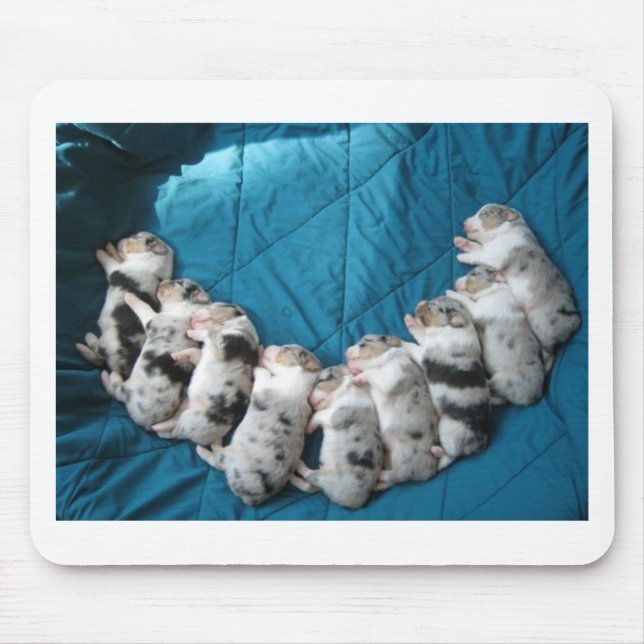 Mousepad os aussies fazem-me sorrir (Frente)