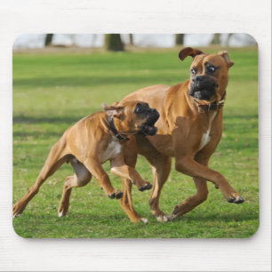 Mousepad Os cães do pugilista funcionam uma raça engraça