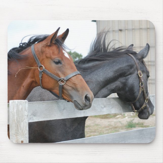 Mousepad Os Cavalos do Amor (Frente)