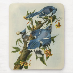 Mousepad Os Dias Azuis de Audubon