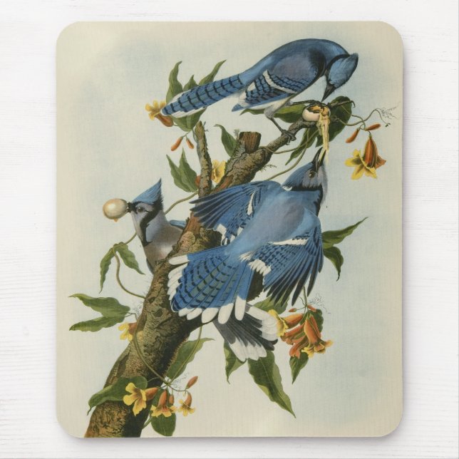 Mousepad Os Dias Azuis de Audubon (Frente)