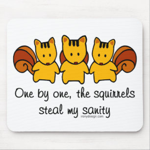 Mousepad Os esquilos roubam minha sanidade