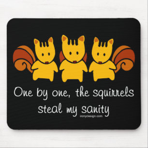 Mousepad Os esquilos roubam minha sanidade