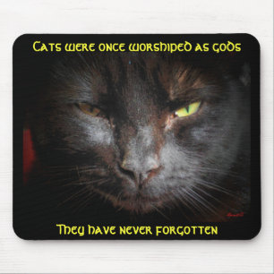 Mousepad Os gatos foram adorados, eles não esquecem