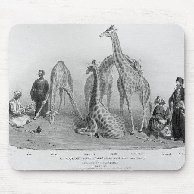 Mousepad Os girafas com os árabes (Frente)