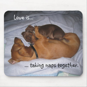 Mousepad os loveis, amor são…,… tomando naps junto