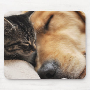 Mousepad Os melhores botões