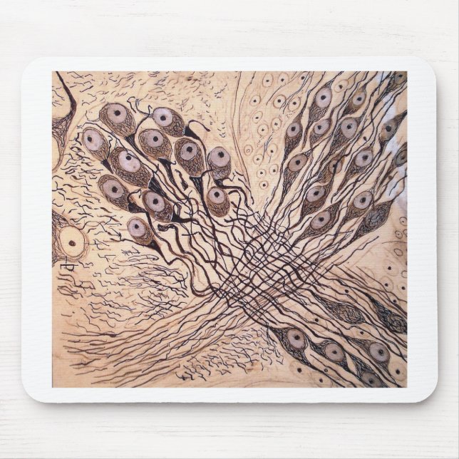 Mousepad Os neurônios 1 de Cajal (Frente)
